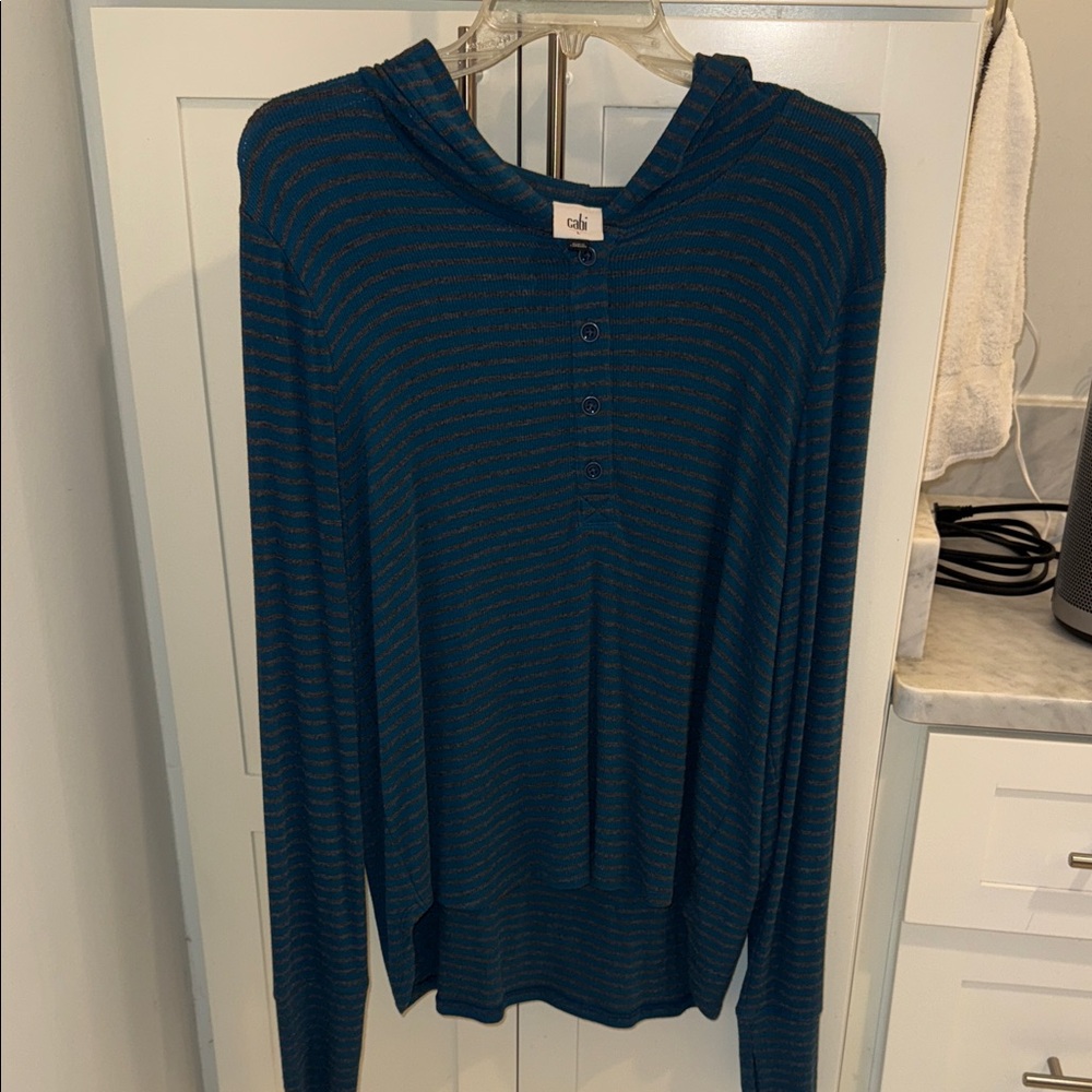 CAbi Men's Teal Striped Sweater
